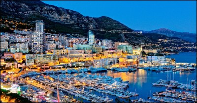Monaco est le plus petit pays du monde.