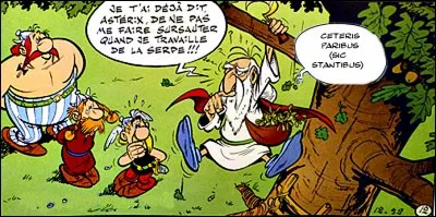 On aurait pu ajouter quelque chose (de latin !) aux propos de Panoramix, alors en f&acirc;cheuse posture. Qu'est-ce &agrave; dire ?