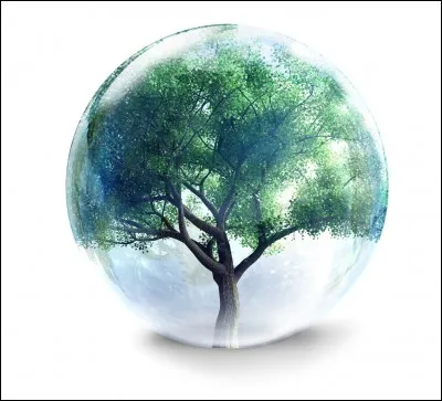 Existe-t-il un lien entre la mort subite du sportif et l'environnement ?