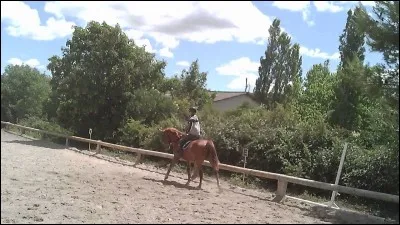 Quelle figure ne permet pas de faire un changement de main, mais permet de faire un changement de pied ?