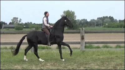 Quel est le mécanisme du galop à droite ?