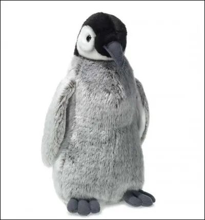 Savez-vous dans quelle BD d'Alain Saint-Ogan a été puisée l'expression devenue célèbre "T'as le bonjour d'Alfred" ?