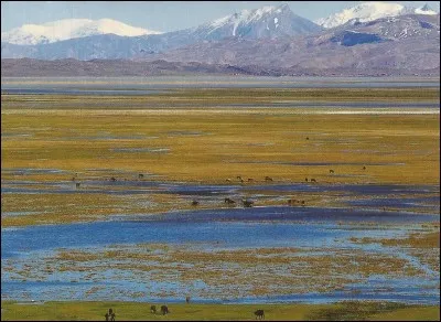 Quel est ce site dont parle la Bible ?