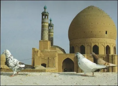 Quelle est la particularité de la mosquée d'Agha Bozorg en Iran ?