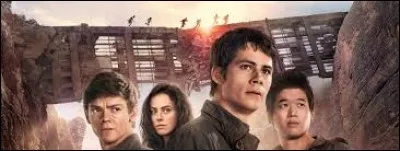 Complétez le titre de ce film : "Le Labyrinthe : ...