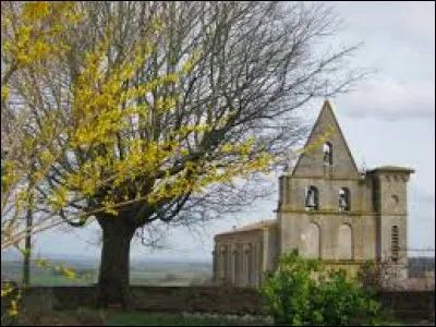 À Beaupuy (Tarn-et-Garonne), les habitants sont des ...
