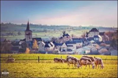 Martine est une habitants de Balsac (Aveyron). C'est donc une ...