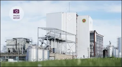 Je n'ai aucun goût, je suis emballé dans une coquille de cire rouge ; je suis, parait-il, destiné aux enfants (les pauvres) et je suis fabriqué à Sablé ! Où se trouve cette ville ?