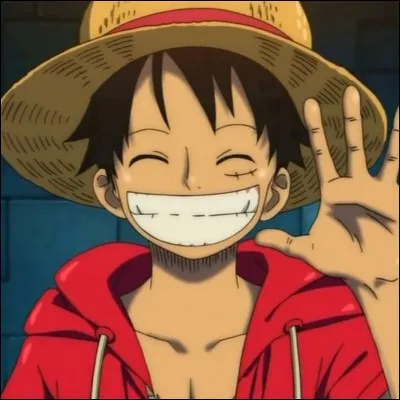 Luffy a son père et son grand père dans la Marine révolutionnaire.