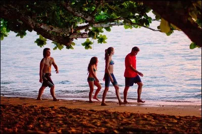 George Clooney est excellent dans ce très bon film d'Alexander Payne, « The descendants », une véritable histoire de famille. Au bord de quelle mer se passe le film ?