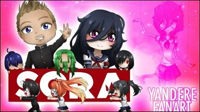 Quel est le prénom de Sora ?