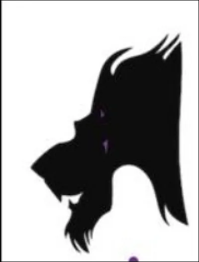 Dans quoi apparaît ce personnage ?