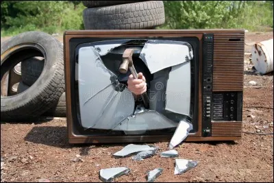 En 2016, ils deviennent chroniqueurs de l'émission de télévision...