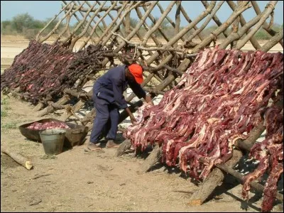 Là, vous n'irez pas vous plaindre qu'il n'y a pas le choix, belle-maman ! Ne dirait-on pas un somptueux buffet à volonté du Club-Me*d* ?