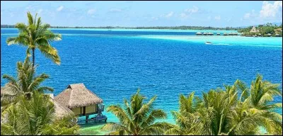 Parmi ces artistes, lequel n'est pas décédé sur une île de Polynésie ?