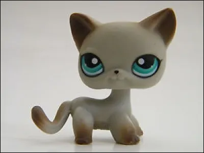 Quelle est cette forme de Petshop ?