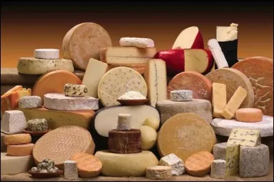Qui a dit : "Comment voulez-vous gouverner un pays où il existe 246 variétés de fromage ?" ?