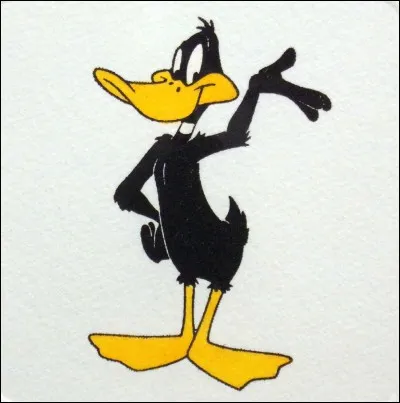 Daffy vit chez ...