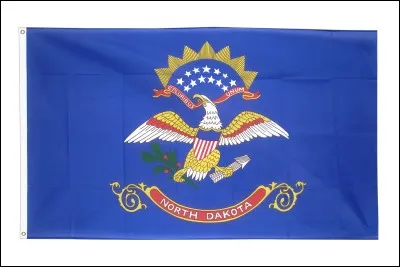 Quel est ce drapeau ?