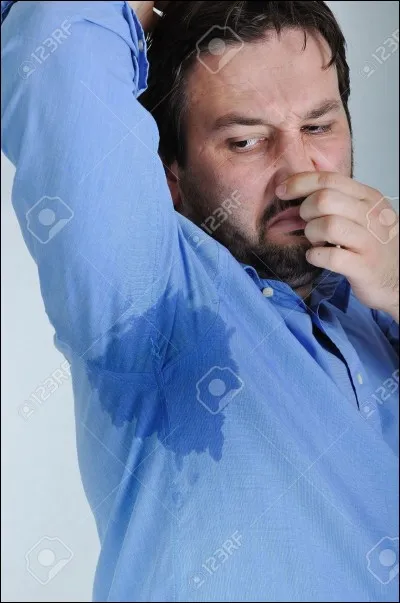 Quelles sont les glandes qui sécrètent de la sueur ?