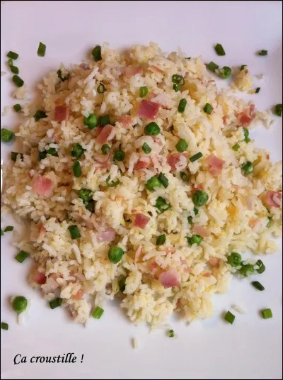 Le riz dit cantonnais (riz frit, riz sauté) vient de/d'...