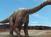Quiz Les dinosaures : Vrai ou faux (2)
