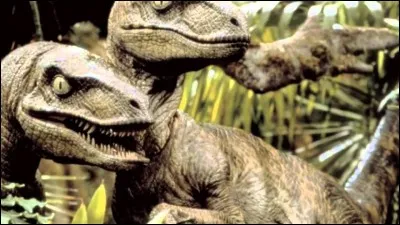 Le Velociraptor pouvait atteindre une vitesse de 64 km/h.