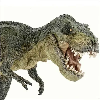 Le mot ''dinosaure'' signifie en latin : monstre vert.