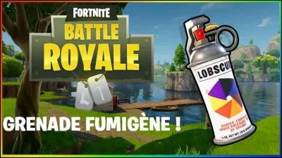 Par quoi ont été remplacer les fumigène ?