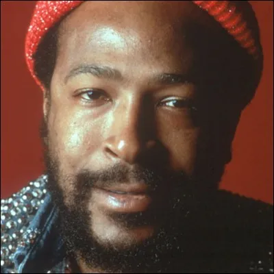 Quel est le surnon de Marvin Gaye ?