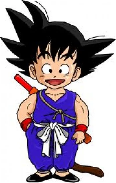 Combien de maîtres enseignent les arts martiaux à Goku ?