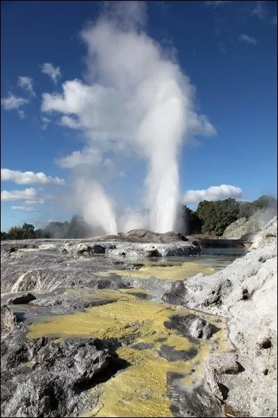 Où se trouve le geyser Puhutu, dans la région de la Whakarewarewa ?