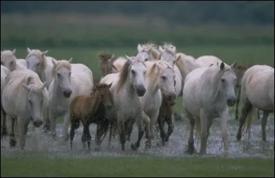 Quel est le nom de la région naturelle formée à cet endroit-là ?