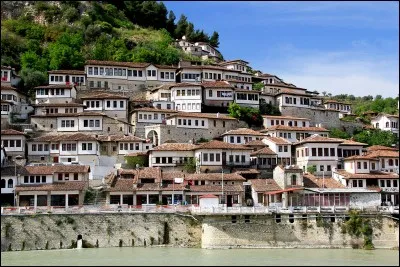 Quelle est la monnaie de l'Albanie ?