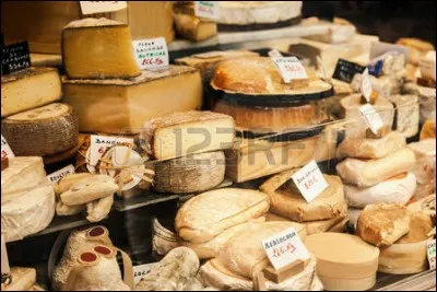 C'est un fromage carré au lait de vache, à pâte molle et à croûte lavée ; c'est bien sûr...