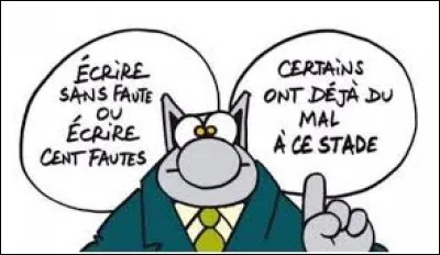 Quel adjectif est mal orthographié ?