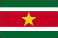 A quel tat ou pays ce drapeau appartient-il ?