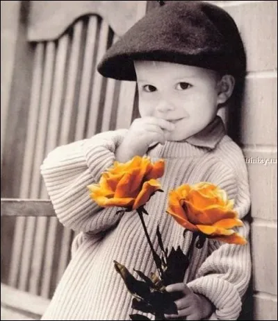 De qui sont les si beaux vers "Ô l'amour d'une mère, amour que nul n'oublie" ?