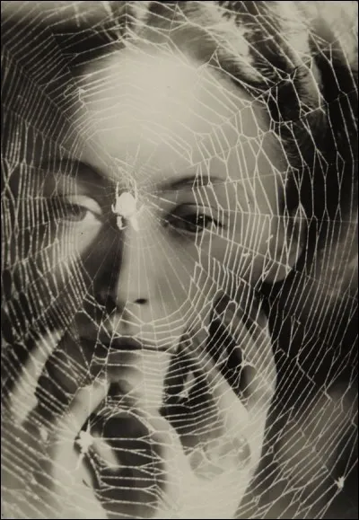 De quel peintre Dora Maar fut-elle le grand amour ?