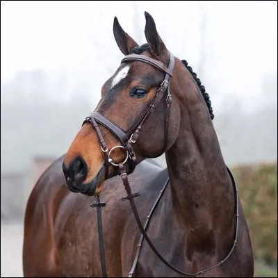 Comment s'appelle cet objet ?