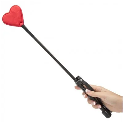 Quel est l'objet sur l'image ?