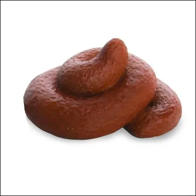 Doit-on ramasser les besoins de nos cromimis ?