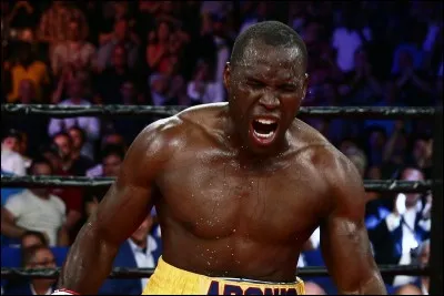 Superman, quant &agrave; lui, est encore d&eacute;tenteur du titre de Champion du monde des poids mi-lourds WBC, ceci depuis 2013. Faut avouer qu'il d&eacute;fend peu son titre mais, son palmar&egrave;s de 29 victoires en 30 combats dont, 24 avant la limite, a de quoi imposer.