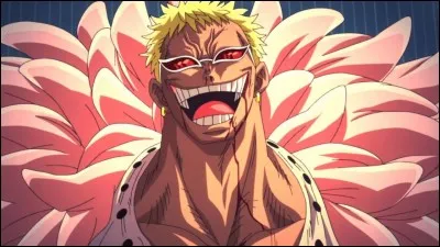 Quels coups ont touché Doflamingo seulement à la tête à Dressrosa ?
