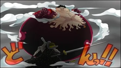 Quelle technique ressemble au Gomu Gomu no Fuusen ?