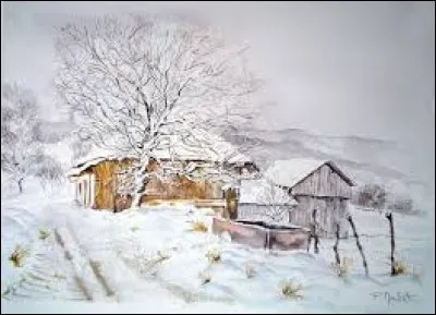 Fibre textile tirée du bananier du même nom, appelée aussi "chanvre de Manille" :