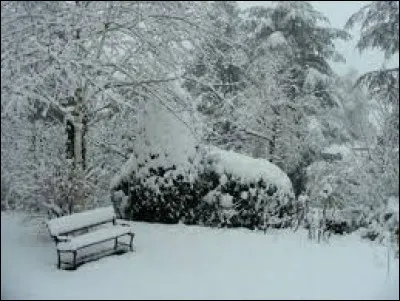 Pour muscler votre abdomen, faites ces exercices :