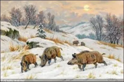 Cet alliage de fer et de carbone est inoxydable s'il contient aussi plus de 10 % de chrome :