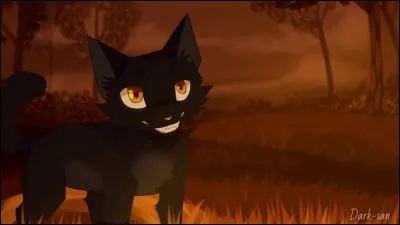 Ton apprenti t'attaque par surprise pendant un entraînement.