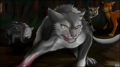 Que préfères-tu faire ?